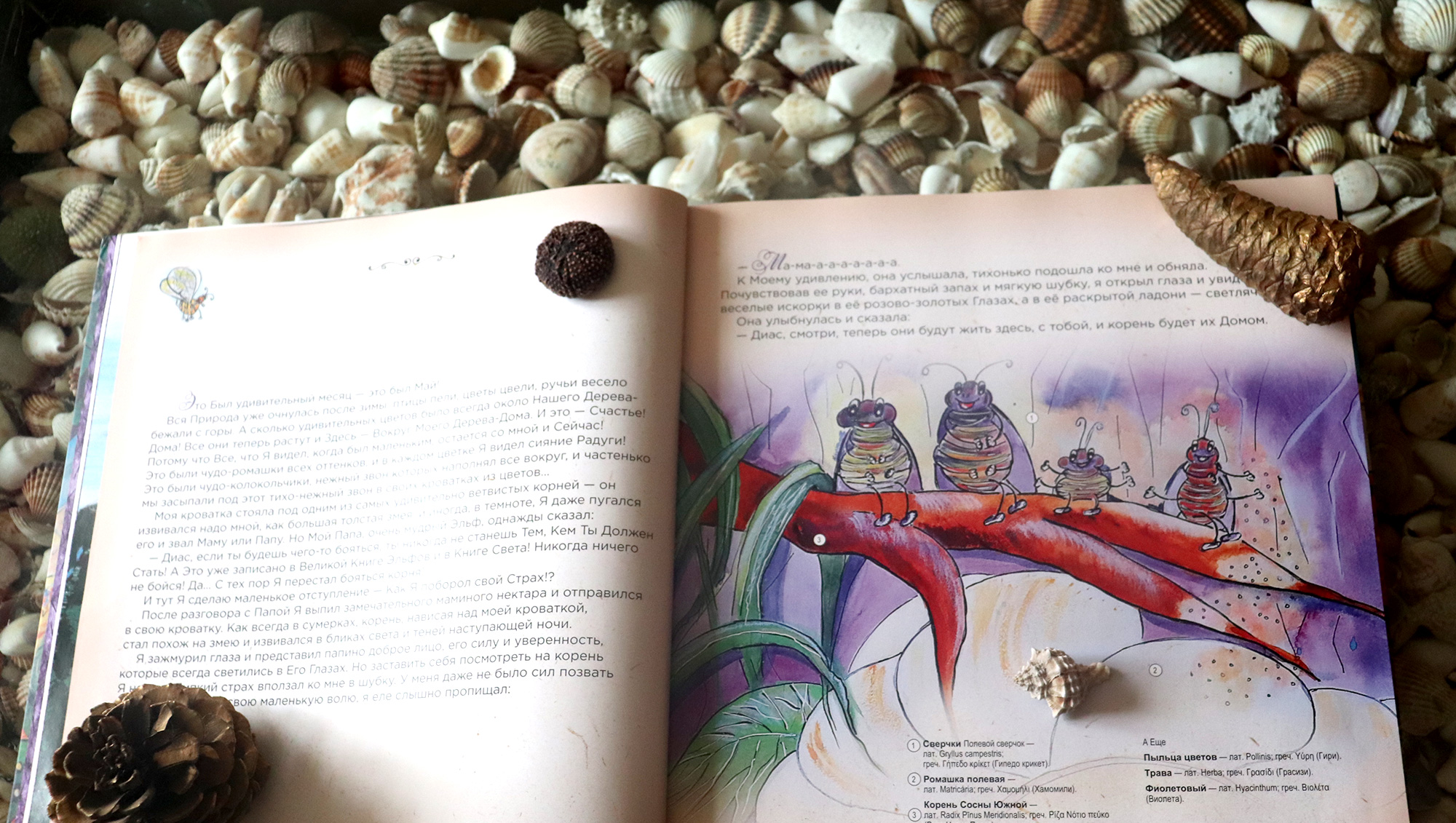 Мои книги Мои книги