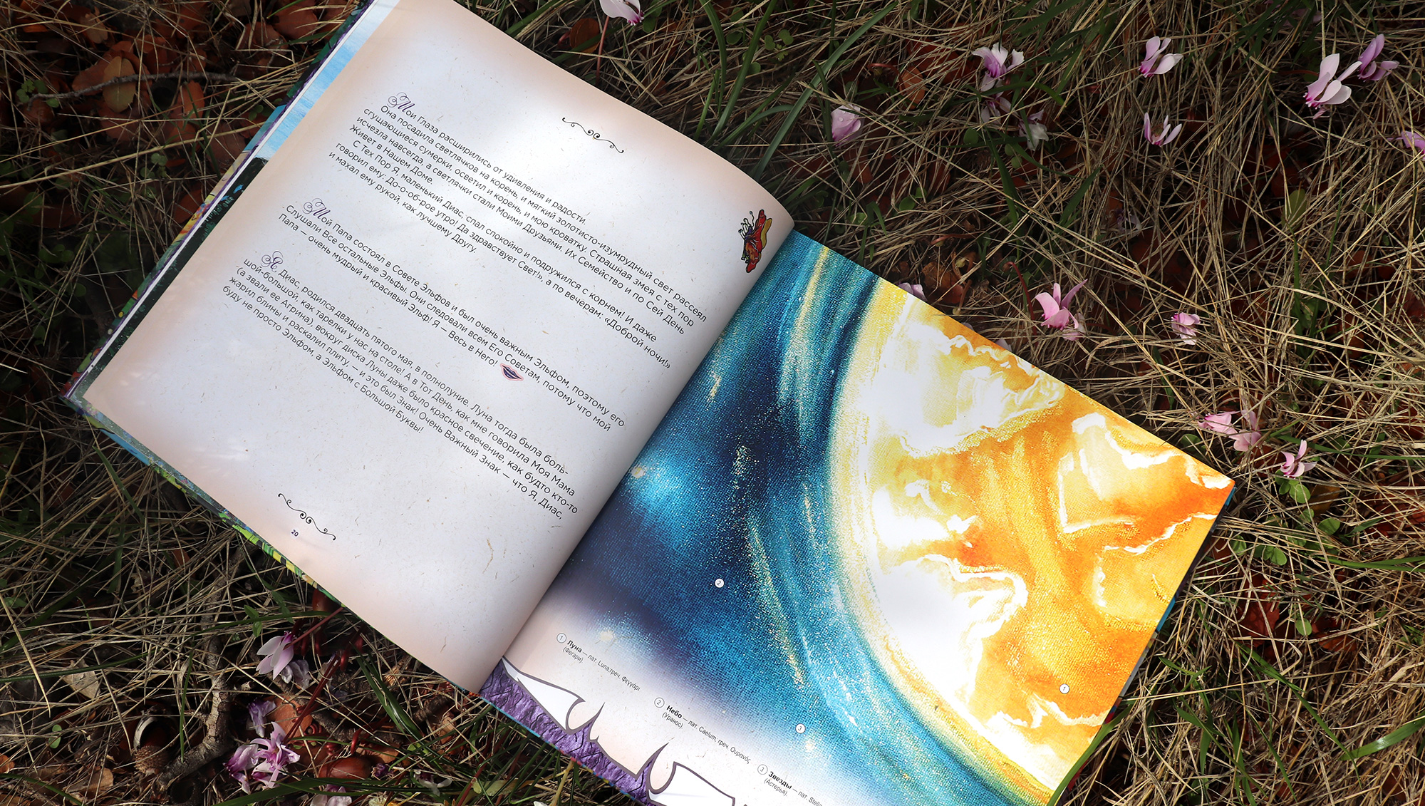 Мои книги Мои книги